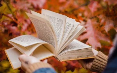 Pomigliano d’Arco finalista per Capitale Italiana del Libro 2027 9 images 23
