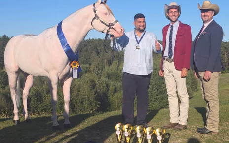 Da Agropoli alla conquista dell'Europa: la Scuderia Top America e lo stallone EM Awesome Imprint trionfano all'Euro Paint 2026 5 Agropoli