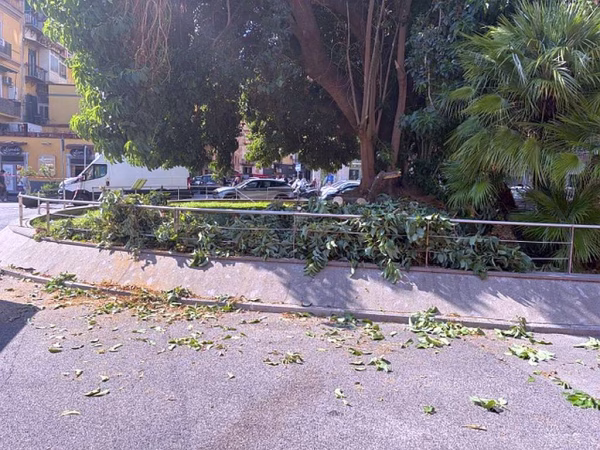 Napoli piazza degli Artisti i rami caduti e tagliati 1