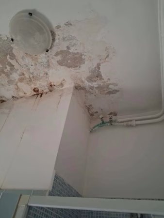 Cicciano, piove nell’alloggio popolare: l’appello di Autilia, "Serve un intervento urgente" 6 a4bd1541 fc95 43a5 915e b5baef7c81ce 1