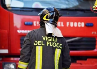 Maltempo a Napoli, pino secolare crolla all’interno dell’ospedale Cardarelli 27 images 32